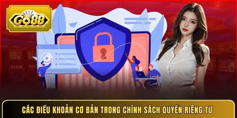 Các điều khoản cơ bản trong chính sách quyền riêng tư