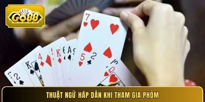 Thuật ngữ hấp dẫn khi tham gia phỏm